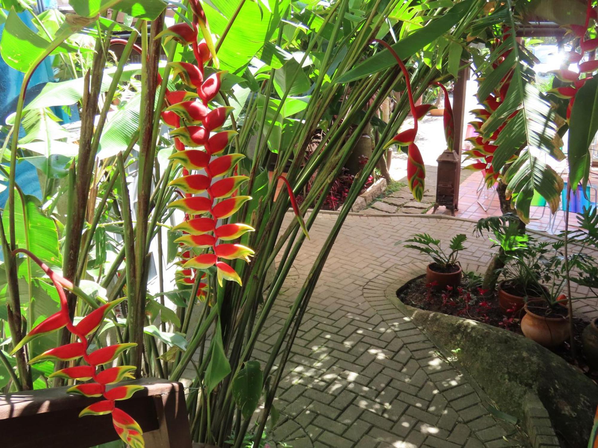 Patio Floriparadise Florianopolis Exterior photo